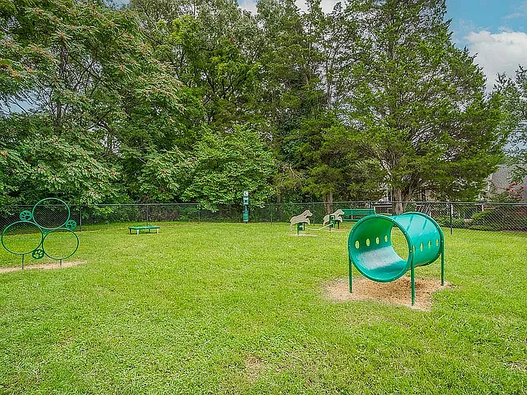 Park at Midtown's Pet Friendly Perks: Dog Park