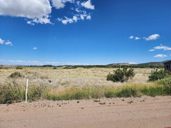 337 PINK CLOUD RD, South Fork, CO 81154