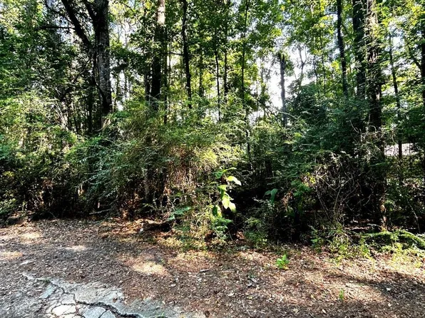 20708 Allen St, Mount Vernon, AL 36560
