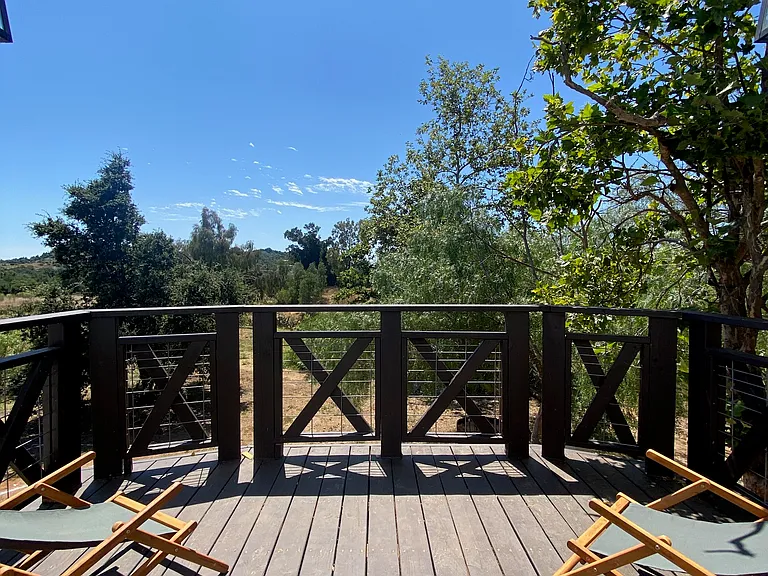 17436 N Mesa Dr #2 — Photo 6