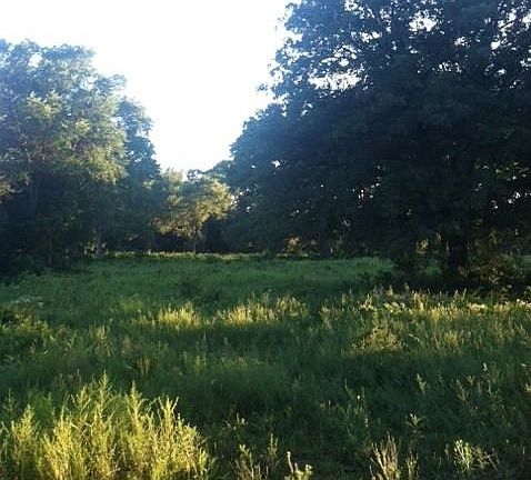 4th image of 2035 County Road 131