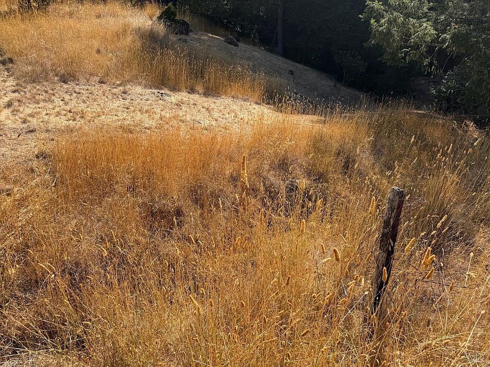 2nd image of 25521 Madrone Way