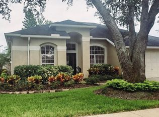 17315 Hubers Ct, Odessa, FL 33556