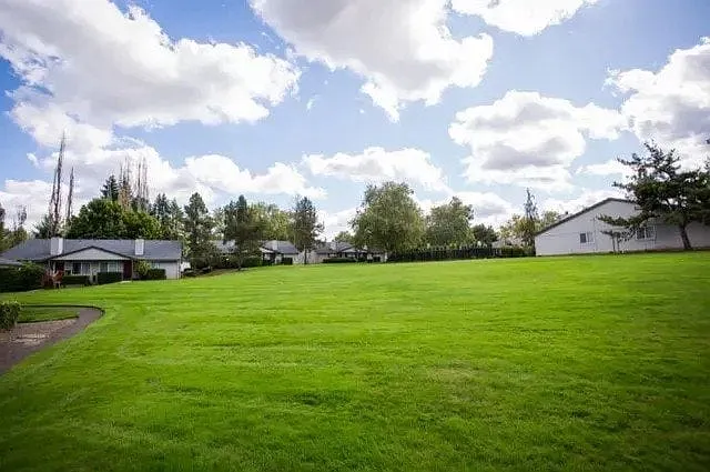 Somerset West Apartments — Photo 40