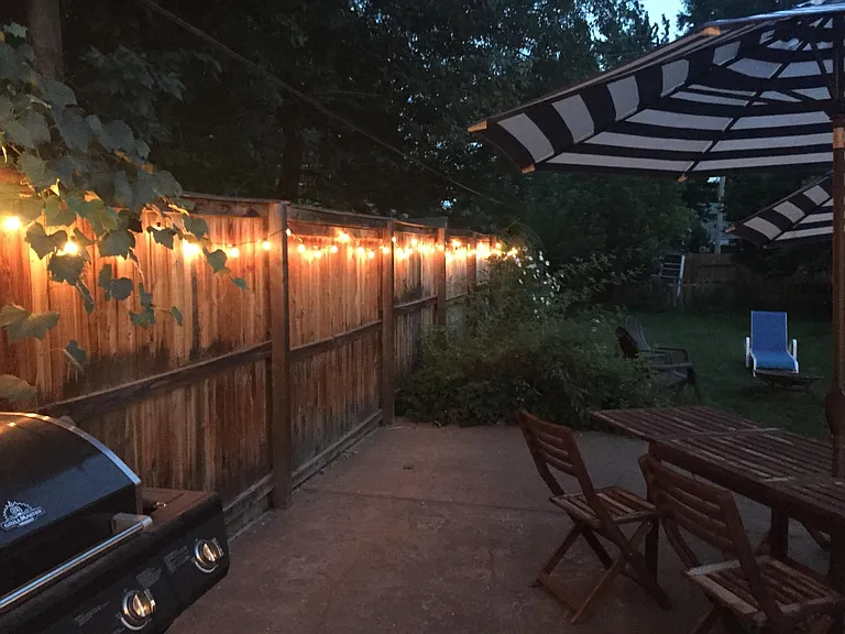 Backyard