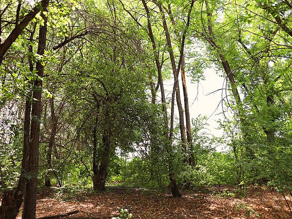 4th image of 1160 Jackrabbit Ln