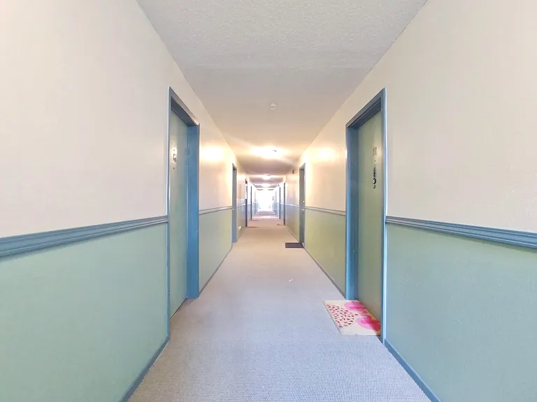 Downstairs Hallway
