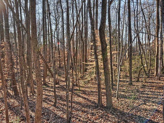 5th image of Stillwater Dr Lot 14