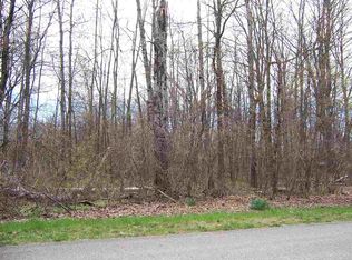Lots 237 & Ivy, Roscommon, MI 48653