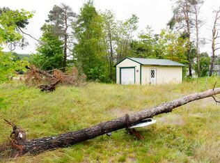 8019 S Ayr Rd, Alanson, MI 49706
