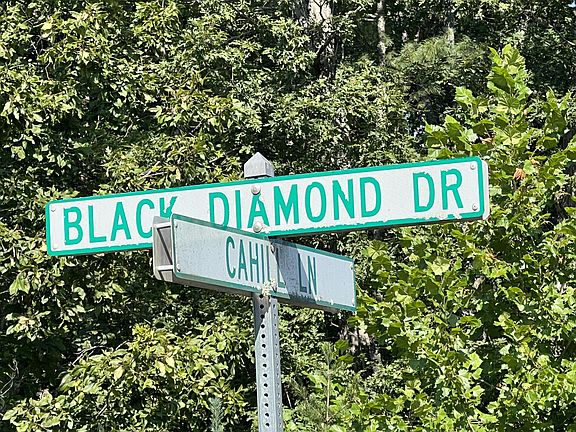 5th image of 0 Black Diamond Dr #95