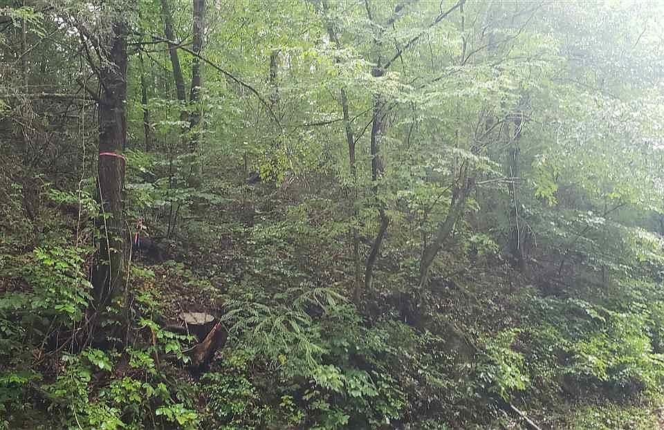 2nd image of 3831 Henry Town Rd