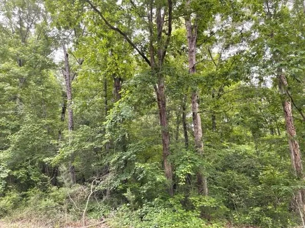 0 Napier Dr, Eatonton, GA 31024