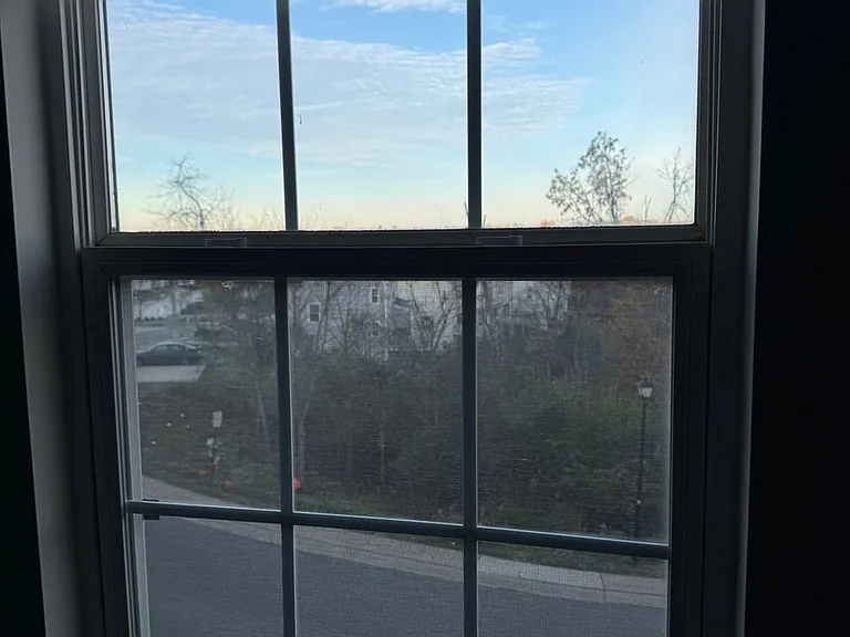 View from the bedroom