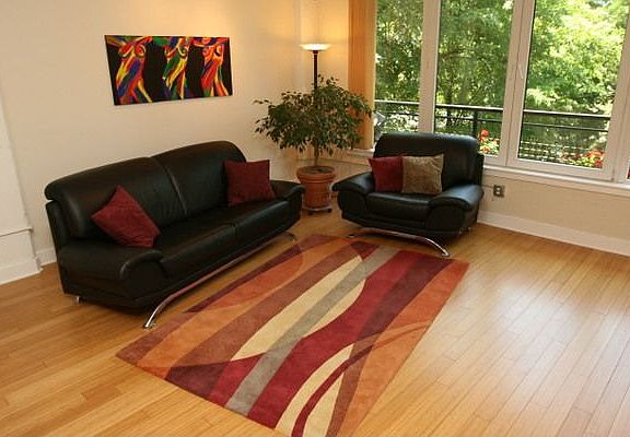 Spacious True Loft w/Bamboo Floors & European Windows