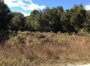 14100 SE 35th Ct, Summerfield, FL 34491