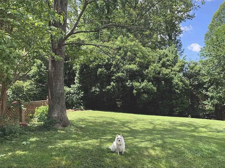 Perfect yard