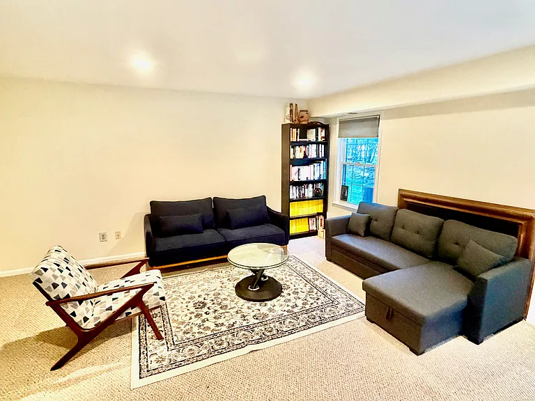 4106 Springbrook Dr #4106 — Photo 15