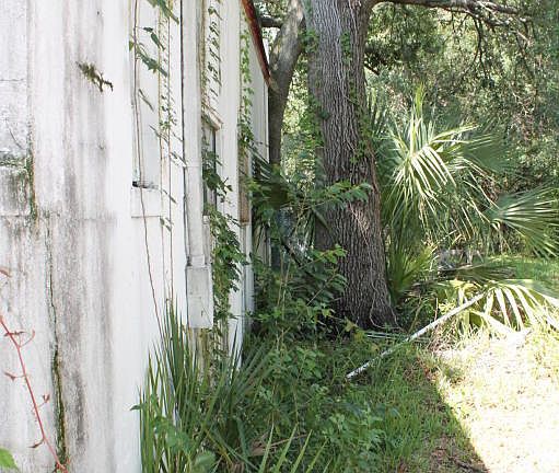 3rd image of 2990 Roosevelt Blvd