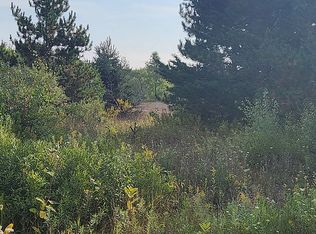 12041 Niemi Rd, Kaleva, MI 49645