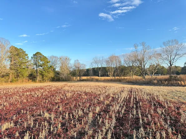 King Rd Lot Wp004, Johnsonville, SC 29555