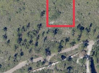0 Holopaw Groves Rd LOT 20, Saint Cloud, FL 34773