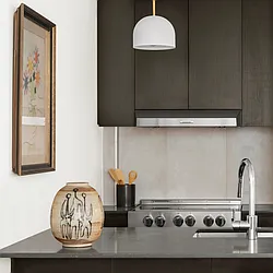 Rented by Nancy Packes Inc.