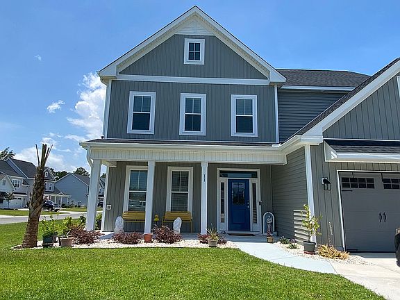 New landscaping- palm trees