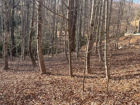 Brookside Ln, Fancy Gap, VA 24328