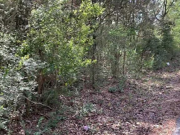 3rd image of 0 Bellbrook Rd