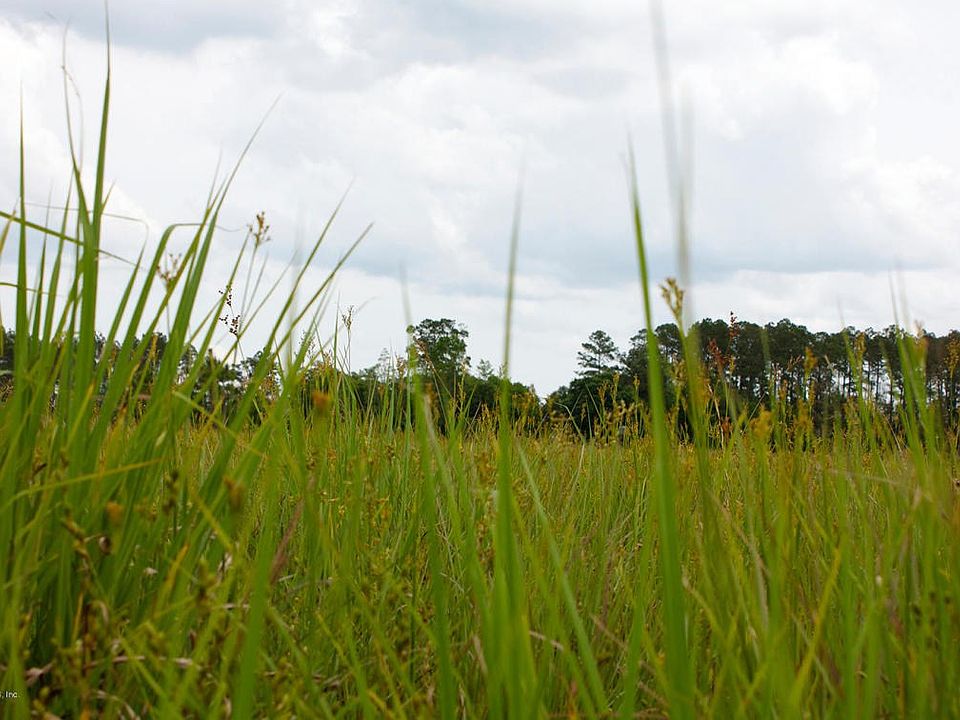 Land for sale in Clay County Fl