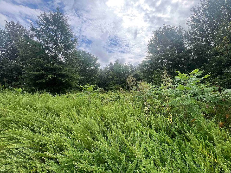 2nd image of 88 1661st Rd