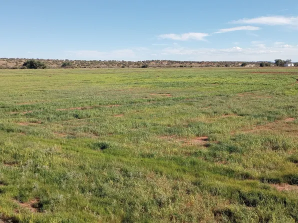 9656 Woodruff Hay Hollow Rd, Snowflake, AZ 85937
