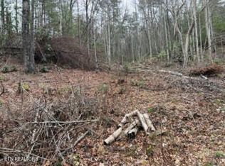 Coy Rhea Way, Sevierville, TN 37876