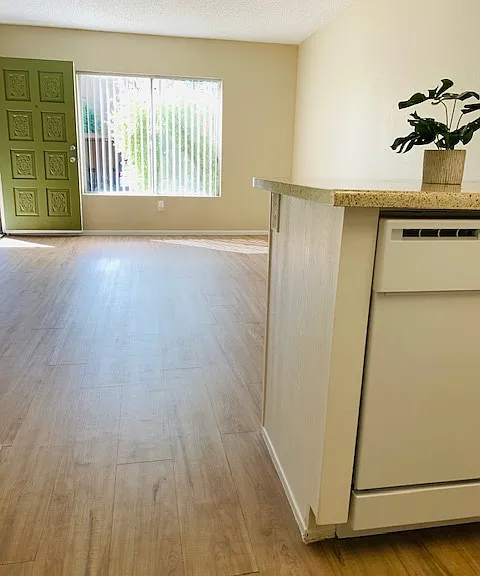 Desert Springs Apartments — Photo 19