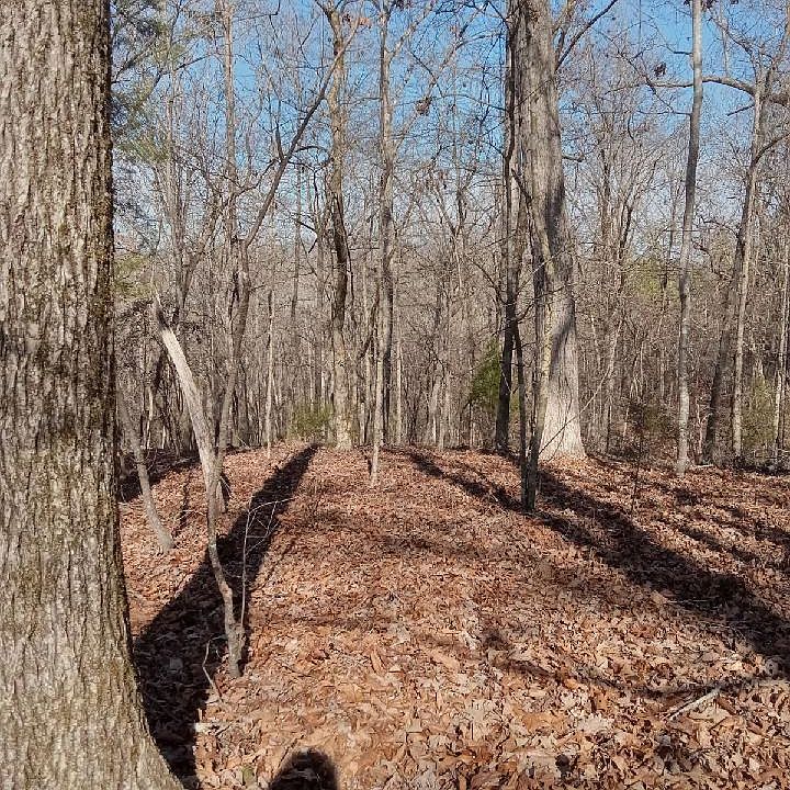 1st image of 410 Rocky Branch Dr