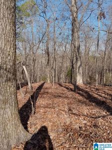 410 Rocky Branch Dr, Centreville, AL, 35042