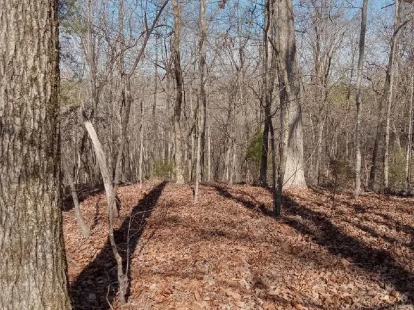410 Rocky Branch Dr, Centreville, AL 35042
