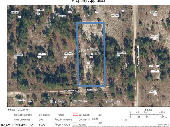 222 STRAWBERRY Lane, Pomona Park, FL 32181