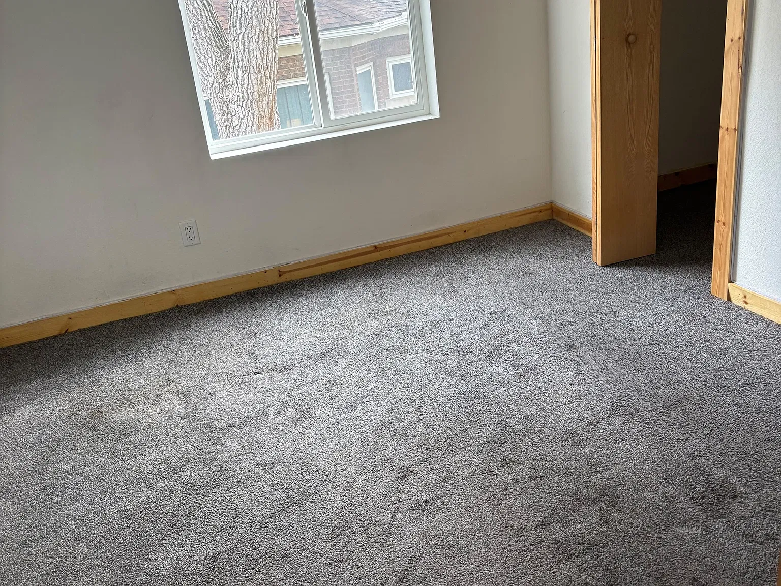 1517 4th Avenue South - 3 — Photo 3