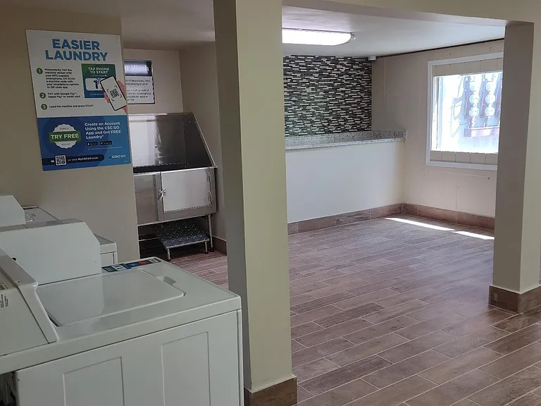 Pet Wash Station