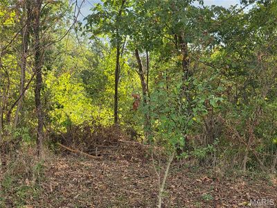 Bluff Cir, Waynesville, MO, 65583