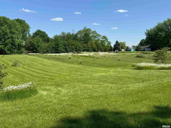 0 Elm St, Andover, IL 61233