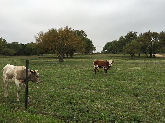 2nd image of 11351 Fm 1863