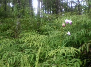 Hawaii Rd LOT 217, Pahoa, HI 96778