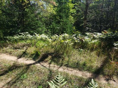 0 N Bear Rd, Paradise, MI, 49768