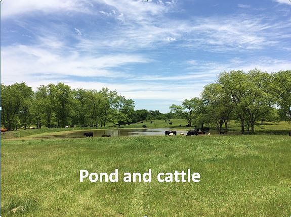 1st image of County Road 1650