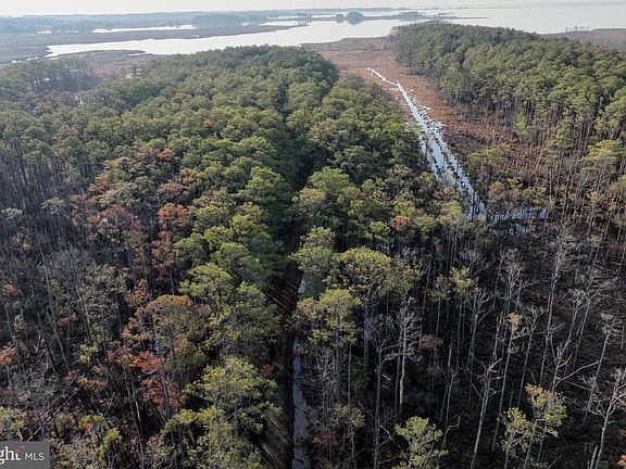 5th image of 2373 Asquith Island Rd