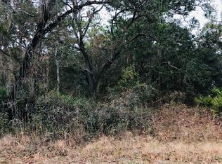 0 Paramount Ave, Brooksville, FL 34614