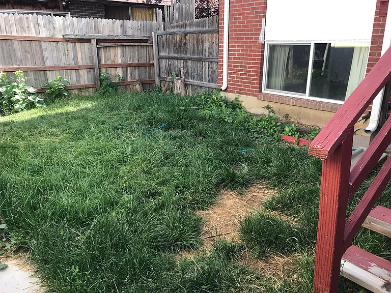 small backyard